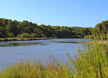 pescaturismomenorca.com excursiones en barco Albufera des Grau Menorca